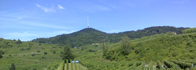 Weinbaugebiet Kaiserstuhl